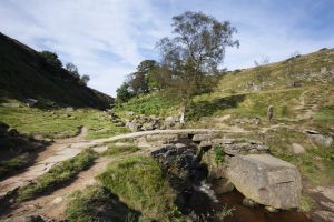 bronte seat haworth moor newer image sm.jpg